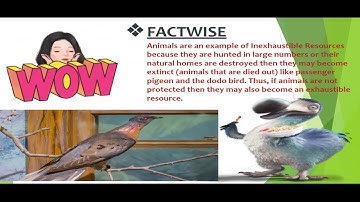 Chapter 11 : Our Natural Resources : Video 3 (Class IV)