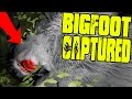 Finding BigFoot - CAUGHT BIGFOOT, ALL SURVIVORS FOUND - (Finding BigFoot Gameplay)