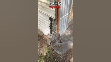 Hoop Coop Predator proofing #chickens #chicks #protection #shorts #shortfeed #shortsvideo #coop