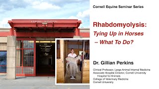 Rhabdomyolysis: Tying Up in Horses – What To Do (Cornell Equine Seminar Series, September 2022)