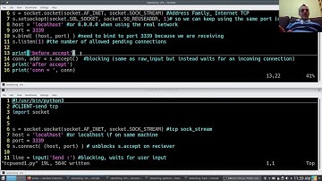 Python Network Programming - TCP #1