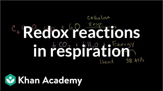 Oxidation and reduction in cellular respiration | Biology | Khan Academy screenshot 5