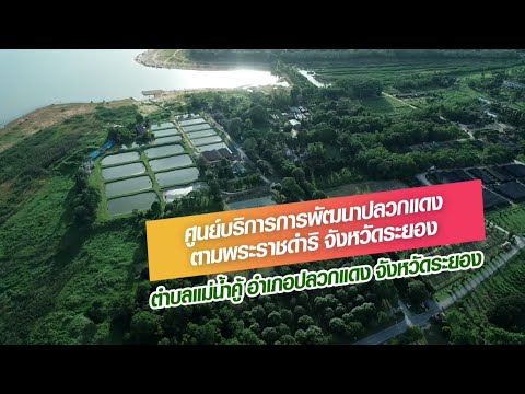 ศูนย์บริการการพัฒนาปลวกแดงตามพระราชดำริ จังหวัดระยอง