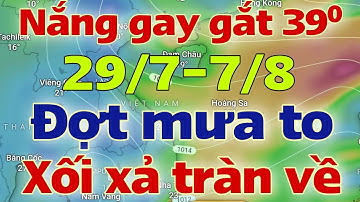 Dự báo thời tiết mới nhất ngày mai 29/7/2025 | dự báo bão mới nhất | thời tiết 3 ngày tới