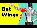  dbarrassezvous des bat wings  10 min dentranement flabby arms