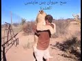 العشرة مابتهون غير ع ابن الحرام 