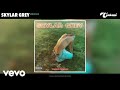 Skylar Grey - Bruises