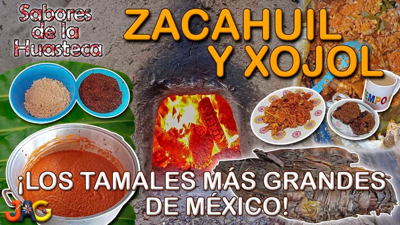 Sabores de la Huasteca #7 Preparación del Zacahuil y del Xojol. ¡Los  tamales más grandes de México! - YouTube
