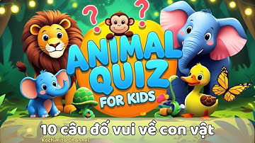 10 câu đố vui về con vật - Thử tài nhanh trí của các Bé | Đố vui cùng ChiChi