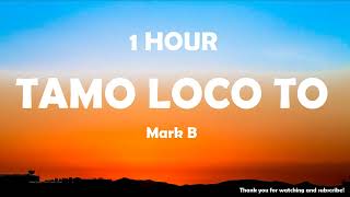 Mark B - Tamo Loco To ( 1 Hour ) Tiktok 🎧