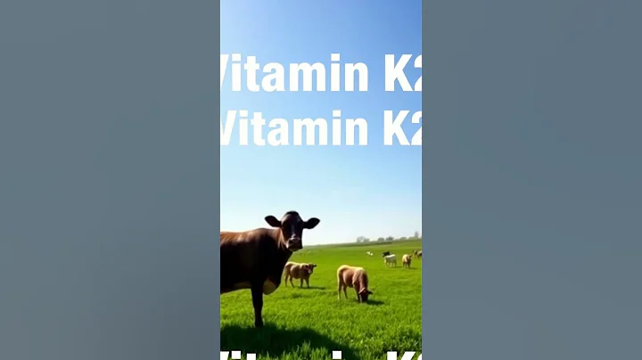 The Overlooked Influence of Vitamin K2 on Bone Health