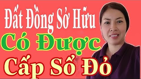 Đất đồng sở hữu có được cấp riêng sổ đỏ hay không?|Vũ Thị Na