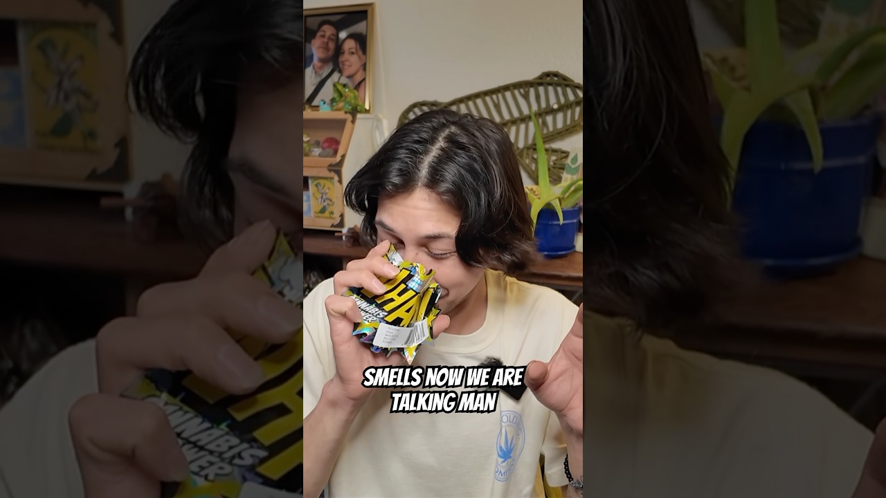 Lil Baby’s Wham! Review 