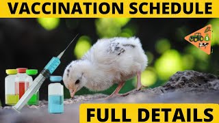 FULL VACCINATION SCHEDULE FOR CHICKEN screenshot 4