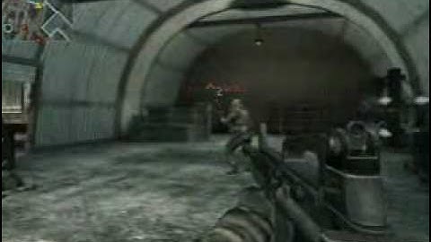 COD4: Multiplayer "PeZBOT"