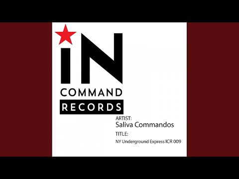 NY Underground Express (Original Mix)