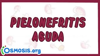 Pielonefritis Aguda - Ósmosis en Español