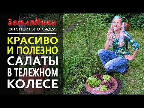 Видео: Как да украсим креватче