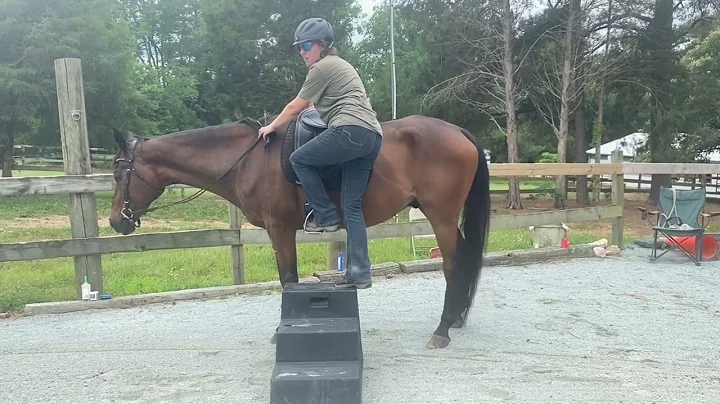 Mounting With Feel