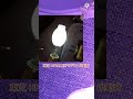HF80X水銀灯の始動音