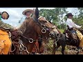 Família Gomes,  realiza o tradicional encontro, de muladeiros. de Palmas Enrolando paraíso Gurupi,