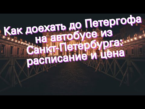 Как доехать до Петергофа на автобусе из Санкт-Петербурга: расписание и цена