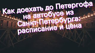 Как доехать до Петергофа на автобусе из Санкт-Петербурга: расписание и цена