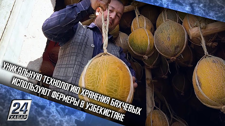 Уникальную технологию хранения бахчевых используют фермеры в Узбекистане
