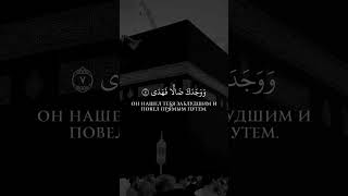 Не покинул тебя твой Господь.. #исламрелигия #коран #таухид #хадис #рекомендации #рек