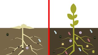 Best4Soil: Soil organic matter – Practical Information