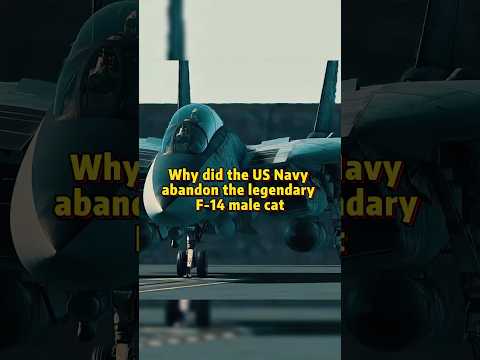 Why did the