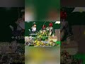 Crazy Dave Takes On Zombies Himself Pvz2 Pvz Crazy Dave Takes On Zombies Himself Pvz2 Pvz
