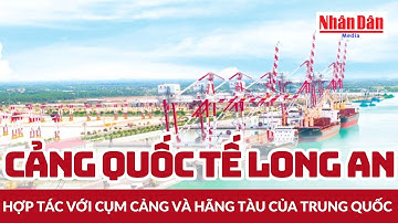 Cảng Quốc tế Long An hợp tác với cụm cảng và hãng tàu của Trung Quốc | Báo Nhân Dân