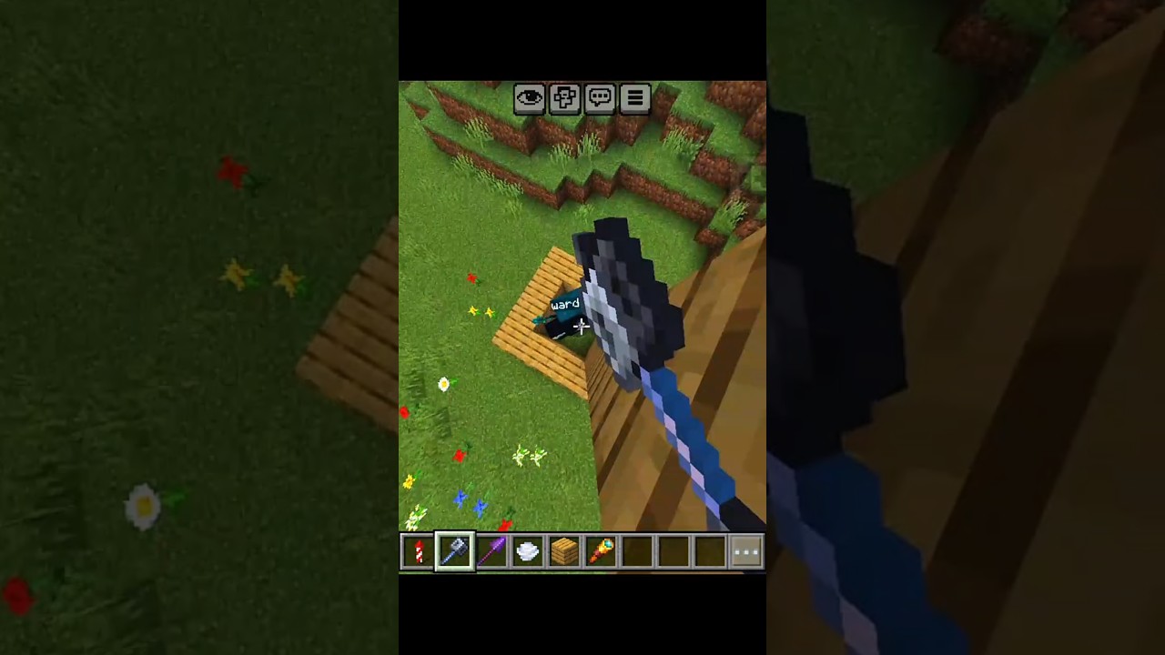 Minecraft Hide and Seek 🥶🥶