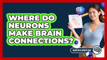 Where Do Neurons Make Brain Connections?