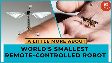 The World’s Smallest Remote-Controlled Robot | A Little More about