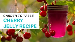 Easy and Delicious Homemade CHERRY JELLY Recipe | Garden to Table