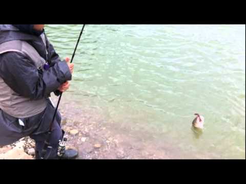 1 Maggio 2011 by BabyBassMonsters