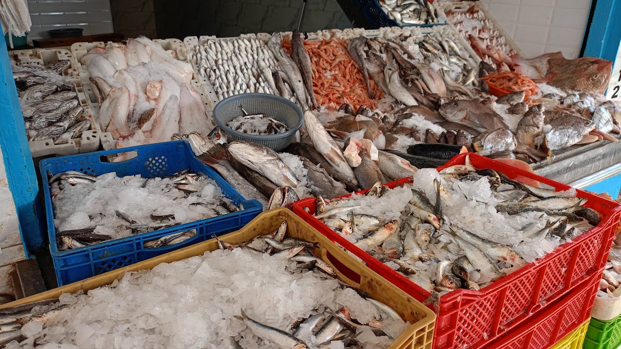 تحياتي للجميع وناس تمارة اليوم كاين الحوت المليح والجوده اللهم بارك كيف ديما 