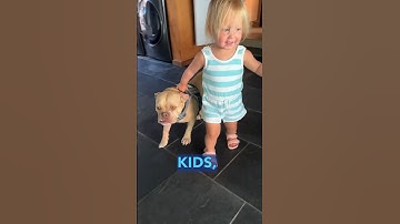 Her mom asked the vet to put her down 🥺 Adopt Tulip 🙏