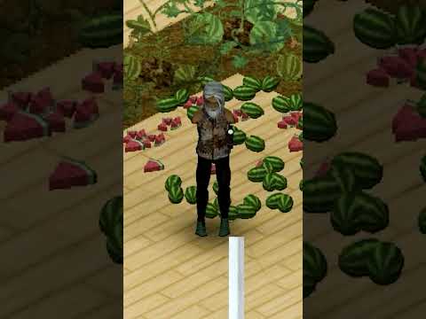 راز جادویی هندوانه برای درآمد بالا