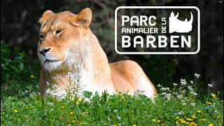 Petit Balade au Parc Animalier de la Barben