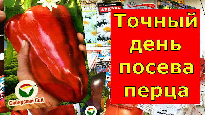 Сею только в этот день! Точная дата посева перца на рассаду в 2025 г