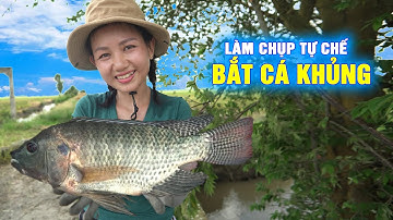 🔴 Tự Chế Chụp Bắt Cá Khủng Nướng Mọi Ăn Giữa Đồng | Cẩm Hằng