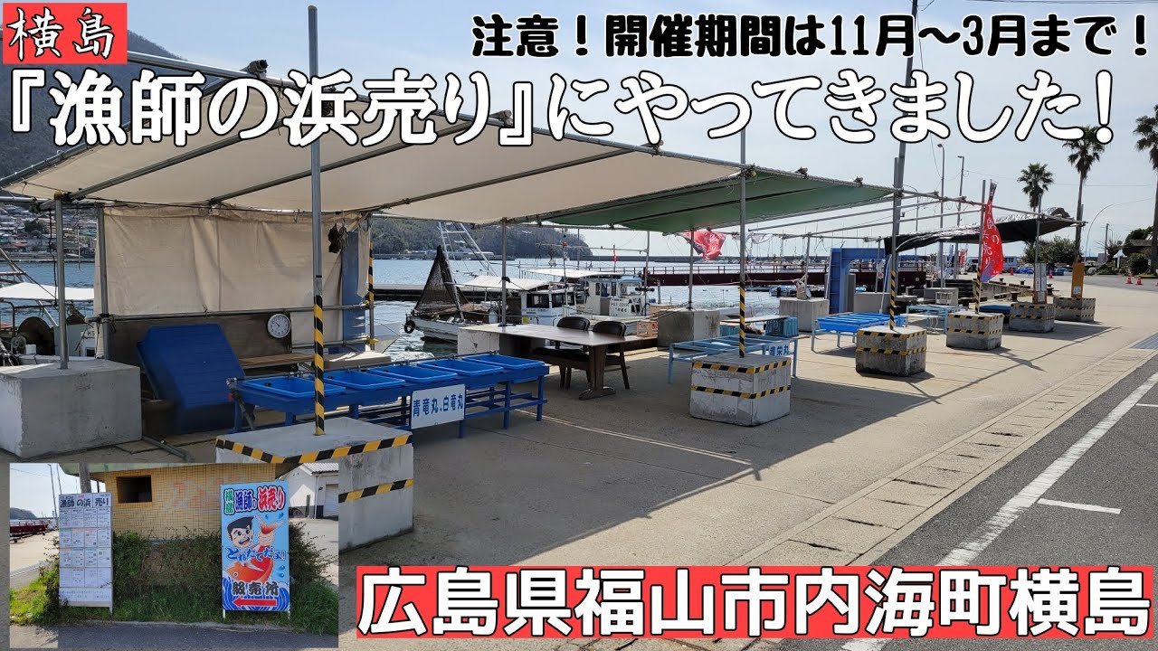 福山市内海町横島『漁師の浜売り』にやってきました！