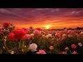 Blissful Relaxing Garden Escape | Let These Magical Flowers Heal Your Mind Completely