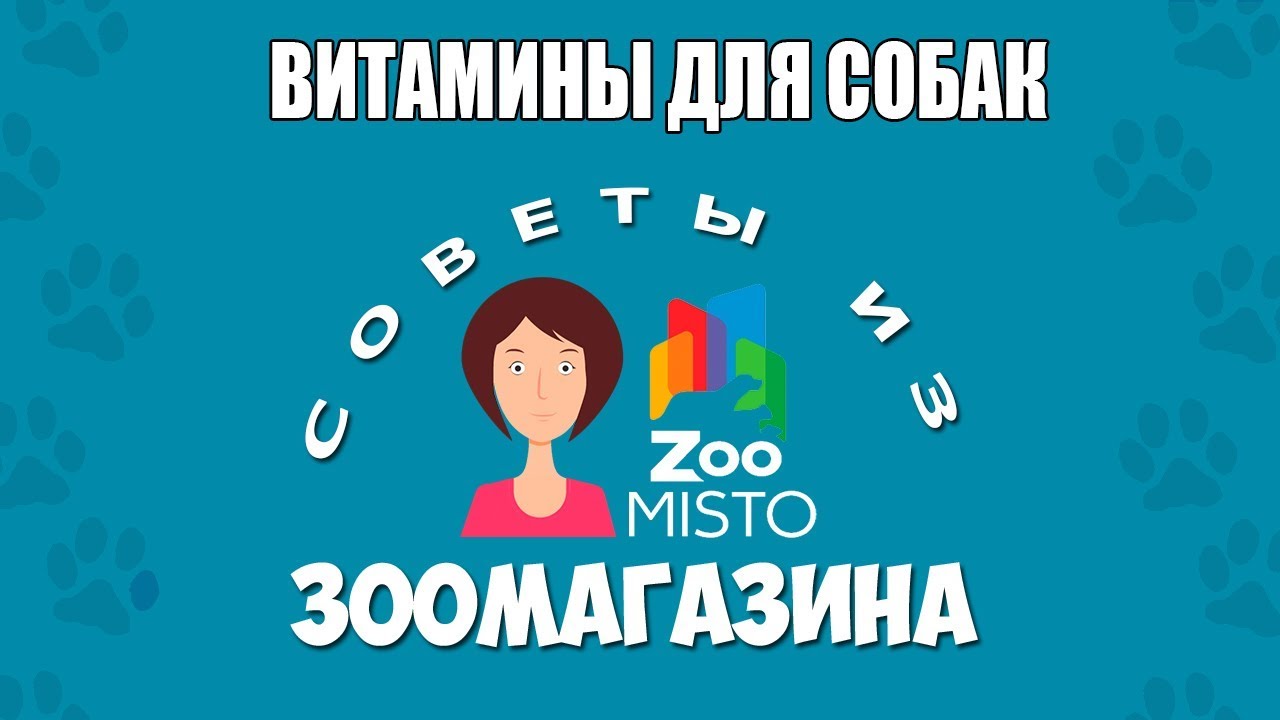 Как правильно выбрать витамины для собак | Какие бывают витамины для собак | Советы из зоомагазина