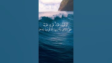 💕{واصنع الفلك بأعيننا ووحينا ولا تخاطبني في الذين ظلموا } للقارئ اسلام صبحي عن جمال الصوت أتحدث 💕