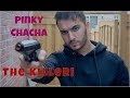 Pinky Chacha Rescues Chintu | Shahveer Jafry