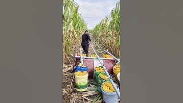 Farming is really not easy for farmers, but it